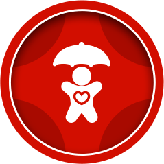 Curriculum Icon